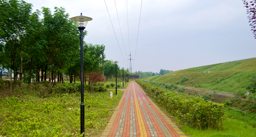 湖北·316 国道老河口市城区梨花大道景观项目